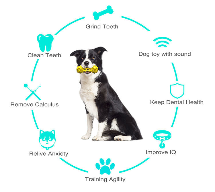 Vocal Dog Toothbrush Toy