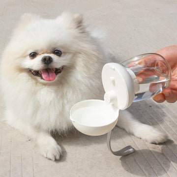 Portable Eco-Friendly Pet Water Bottle with High Temperature Resistant Feeding Bowl Outdoor Travel Puppy Cup